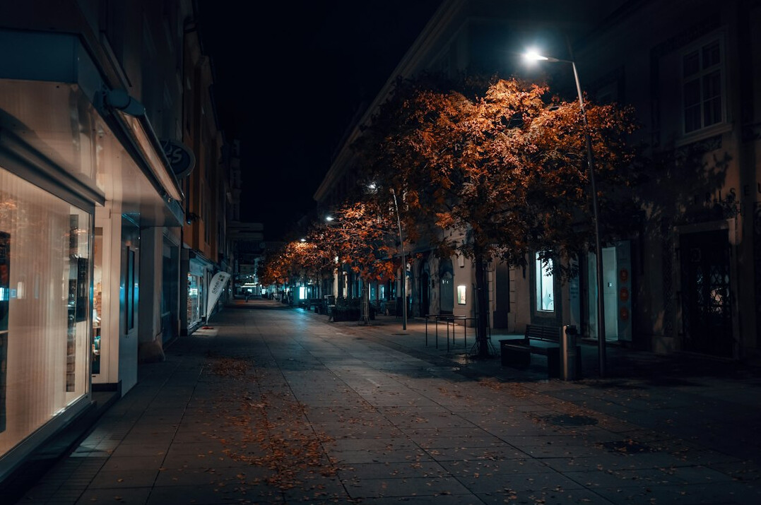 Empty city street at night under moonlight